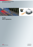 SSP 620 Audi ACC Systems 